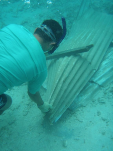 underwater cleanup in samoa