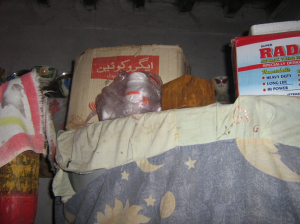 pesticides stored inside in Pakistan