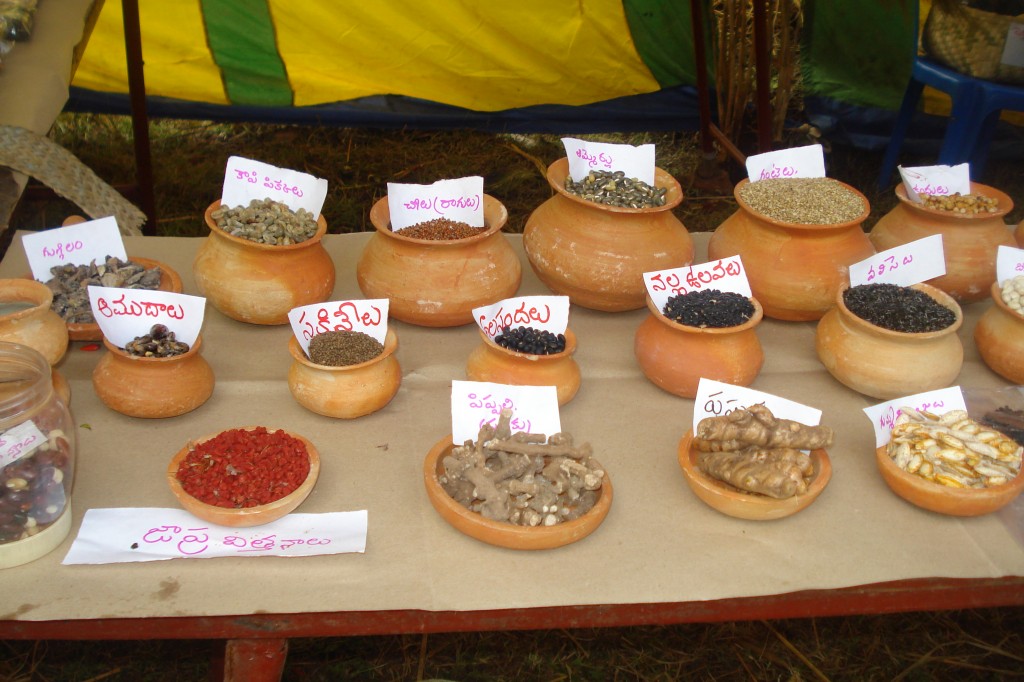 Traditional seed varieties in India