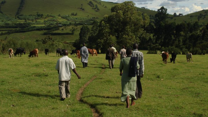 The Community Farm in the Nyamira Village of Uganda