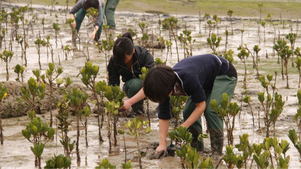 Untitled design (27)