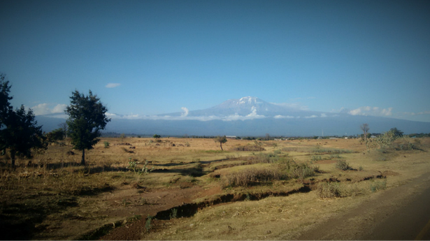 Untitled design (28)