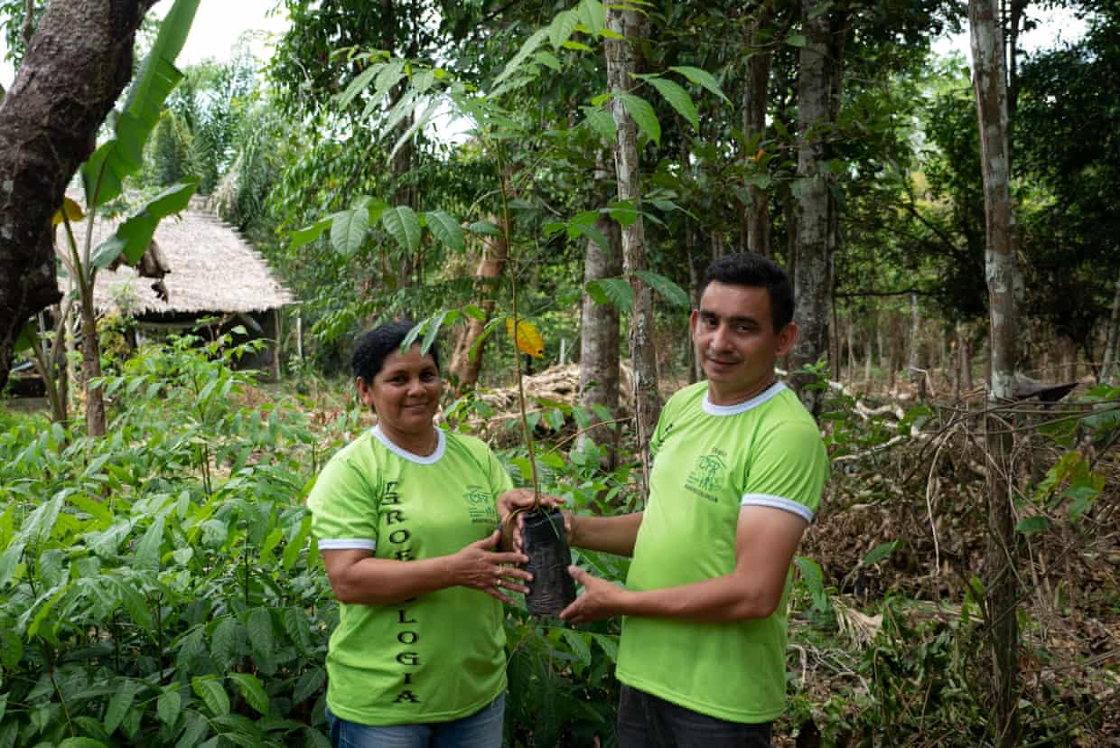 Over £1 Million Raised by The Guardian for Tree Charities Global