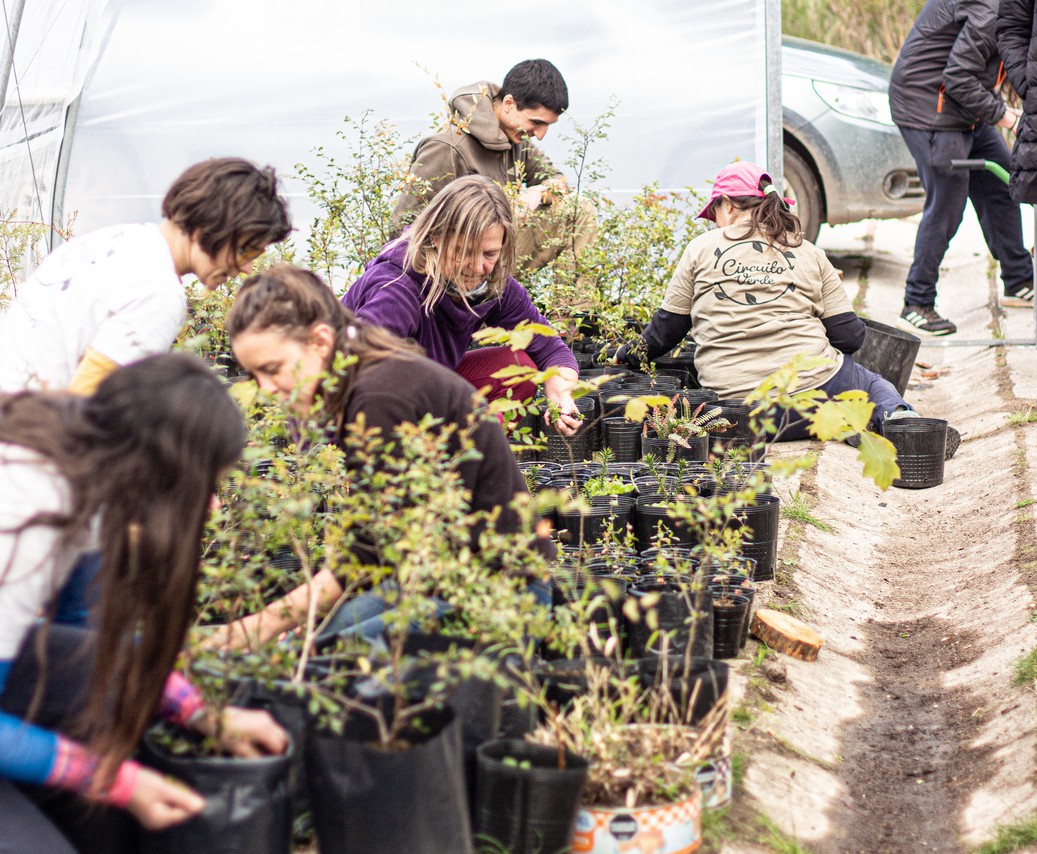 A group of six people crouch amidst rows of potted seedlings, many of their hands in the soil. They appear to be in a greenhouse.