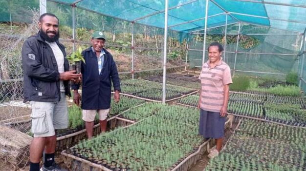 Two men and a women stand within a greenhouse, surrounded by many beds of young plants. They are looking at the camera and smiling. One of them is holding a pot with a small plant.