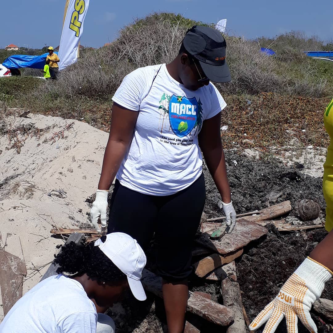 A Changing Climate The Youth Response in Jamaica Global Greengrants Fund