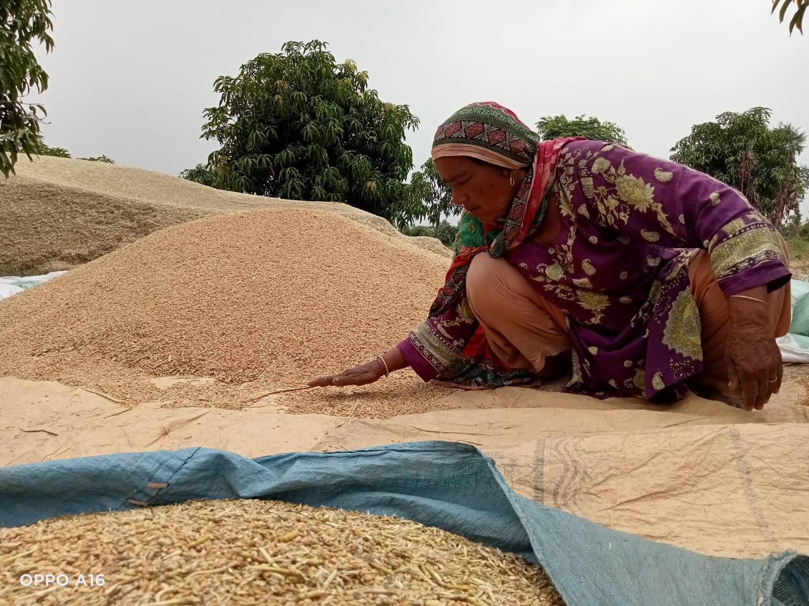 A woman crouches and holds her hand over seeds on the ground. She is surrounded by piles of the seeds.