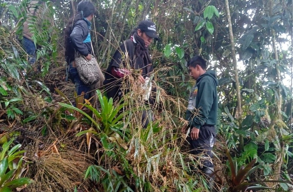 Three Latine people stand amidst many plants, including jaw.