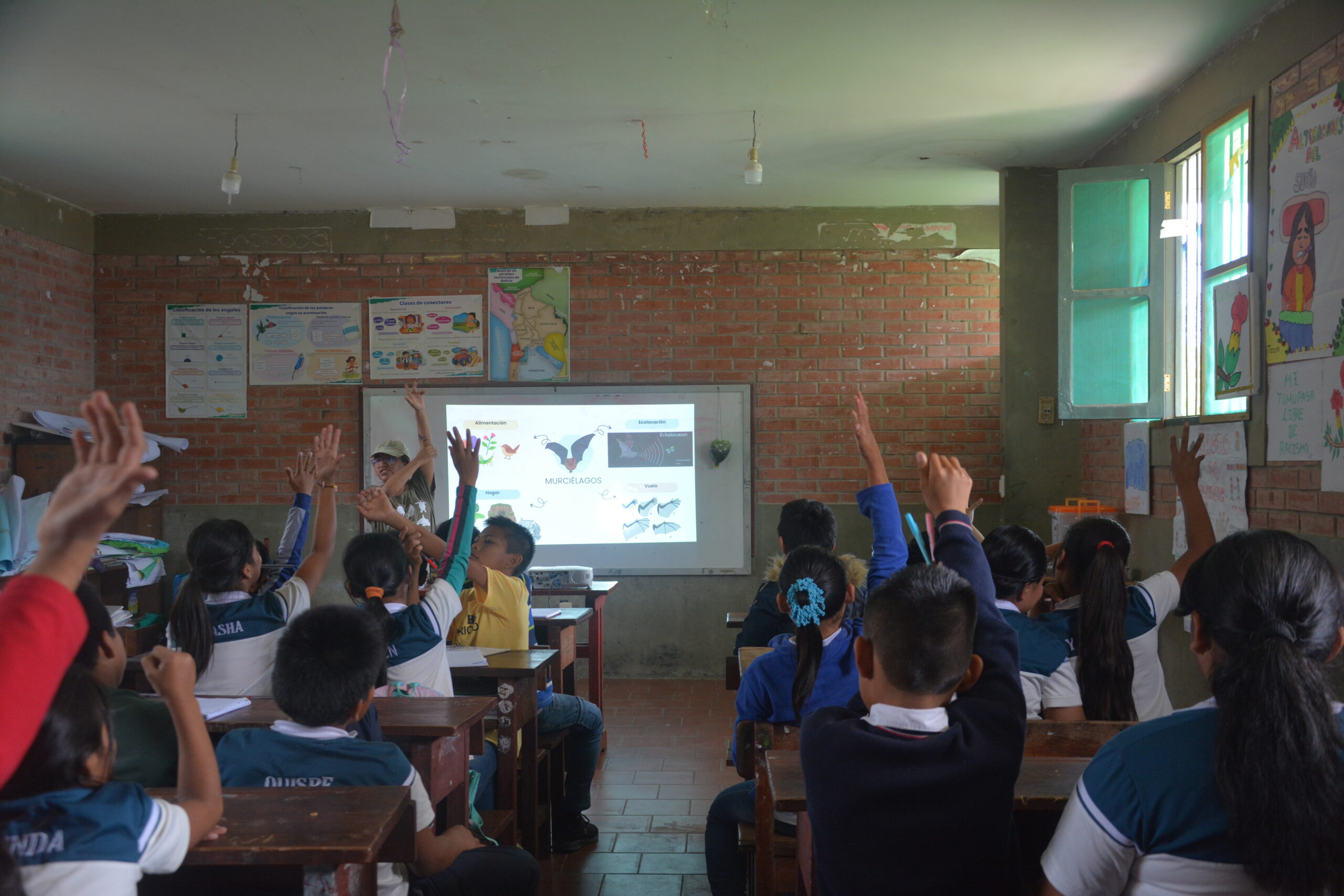 A photo of a classroom from behind. About a dozen students are facing away from the camera, their hands raised. At the front of the room is an instructor who is also raising a hand. Behind them is a projected slide, on which there is an image of a bat.